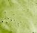 super food latte matcha